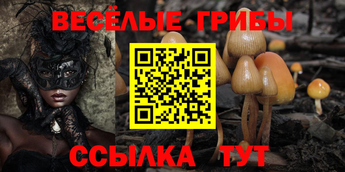 Галлюциногенные грибы Cubensis  Вход с VPN  Галлюциногенные грибы прущие грибы  Ревда 